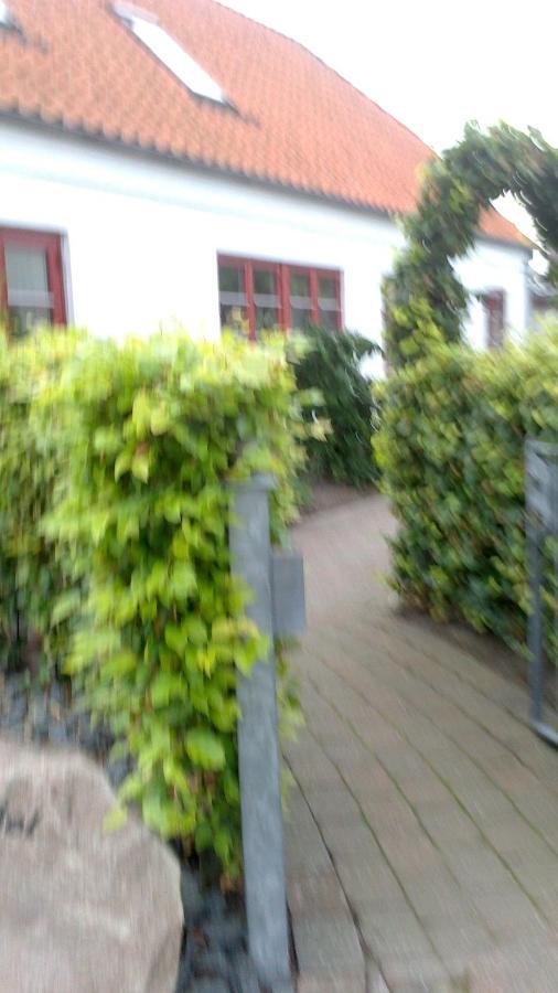 Gaeste Anneks Hos Hanne Hjørring Exterior foto
