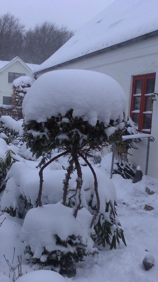 Gaeste Anneks Hos Hanne Hjørring Exterior foto